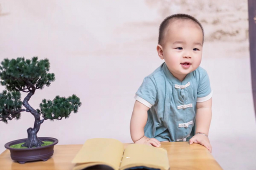 广水可爱的企鹅宝宝